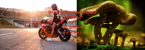 синтетический гашиш Армянск